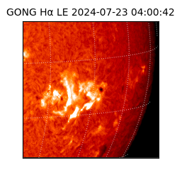 gong - 2024-07-23T04:00:42