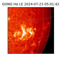 gong - 2024-07-23T05:01:42