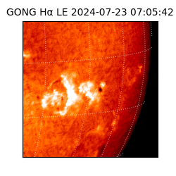 gong - 2024-07-23T07:05:42