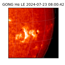 gong - 2024-07-23T08:00:42