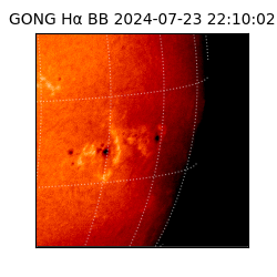 gong - 2024-07-23T22:10:02