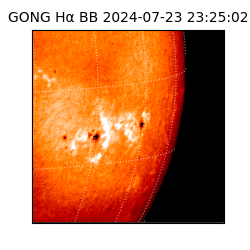 gong - 2024-07-23T23:25:02