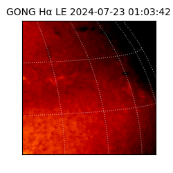 gong - 2024-07-23T01:03:42