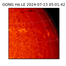 gong - 2024-07-23T05:01:42