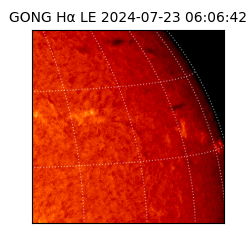 gong - 2024-07-23T06:06:42