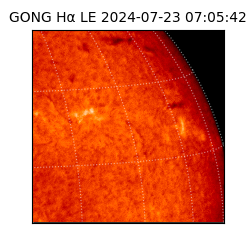 gong - 2024-07-23T07:05:42