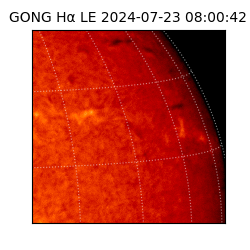 gong - 2024-07-23T08:00:42