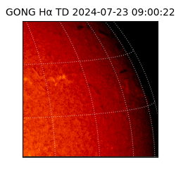 gong - 2024-07-23T09:00:22