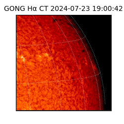 gong - 2024-07-23T19:00:42