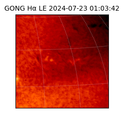 gong - 2024-07-23T01:03:42