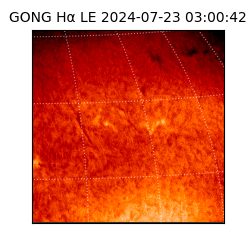 gong - 2024-07-23T03:00:42