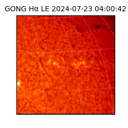 gong - 2024-07-23T04:00:42