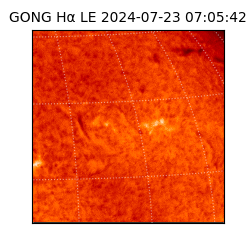 gong - 2024-07-23T07:05:42