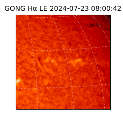 gong - 2024-07-23T08:00:42