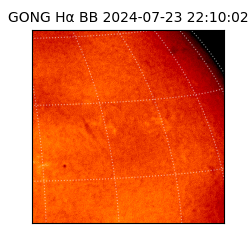 gong - 2024-07-23T22:10:02