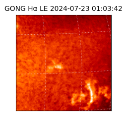 gong - 2024-07-23T01:03:42