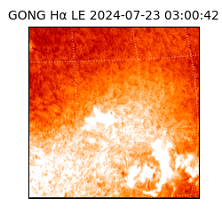 gong - 2024-07-23T03:00:42