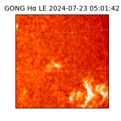 gong - 2024-07-23T05:01:42