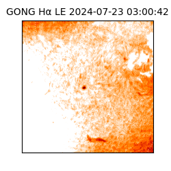 gong - 2024-07-23T03:00:42