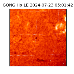 gong - 2024-07-23T05:01:42