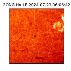 gong - 2024-07-23T06:06:42