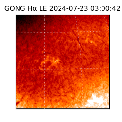 gong - 2024-07-23T03:00:42