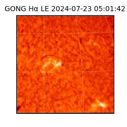 gong - 2024-07-23T05:01:42