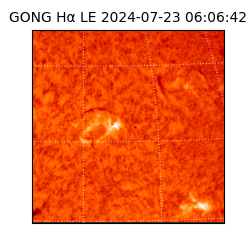 gong - 2024-07-23T06:06:42