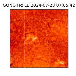 gong - 2024-07-23T07:05:42