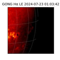 gong - 2024-07-23T01:03:42