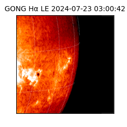 gong - 2024-07-23T03:00:42