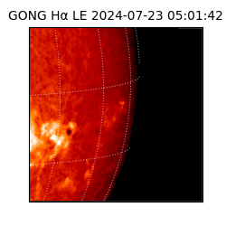 gong - 2024-07-23T05:01:42