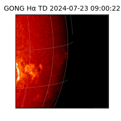 gong - 2024-07-23T09:00:22