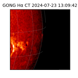 gong - 2024-07-23T13:09:42