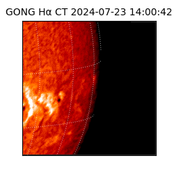 gong - 2024-07-23T14:00:42