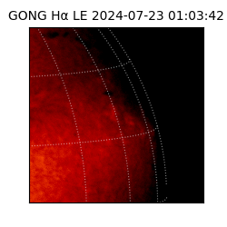 gong - 2024-07-23T01:03:42