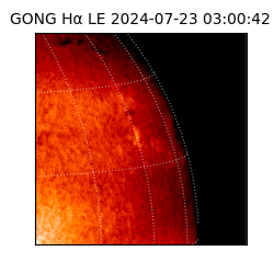 gong - 2024-07-23T03:00:42