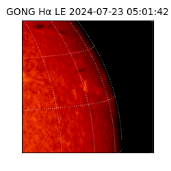 gong - 2024-07-23T05:01:42