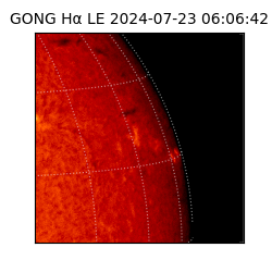 gong - 2024-07-23T06:06:42