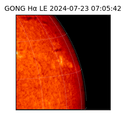 gong - 2024-07-23T07:05:42