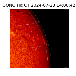 gong - 2024-07-23T14:00:42