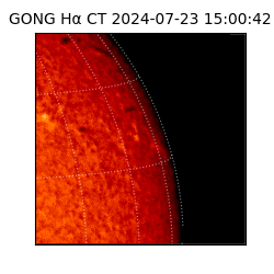 gong - 2024-07-23T15:00:42