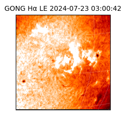 gong - 2024-07-23T03:00:42