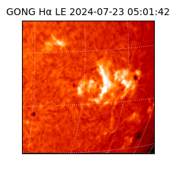 gong - 2024-07-23T05:01:42