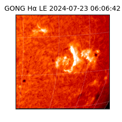 gong - 2024-07-23T06:06:42