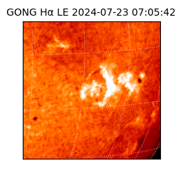 gong - 2024-07-23T07:05:42