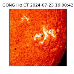 gong - 2024-07-23T16:00:42