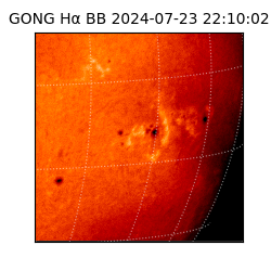 gong - 2024-07-23T22:10:02