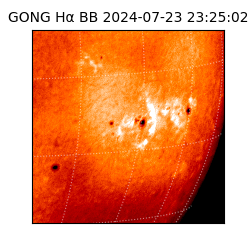 gong - 2024-07-23T23:25:02