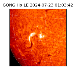 gong - 2024-07-23T01:03:42